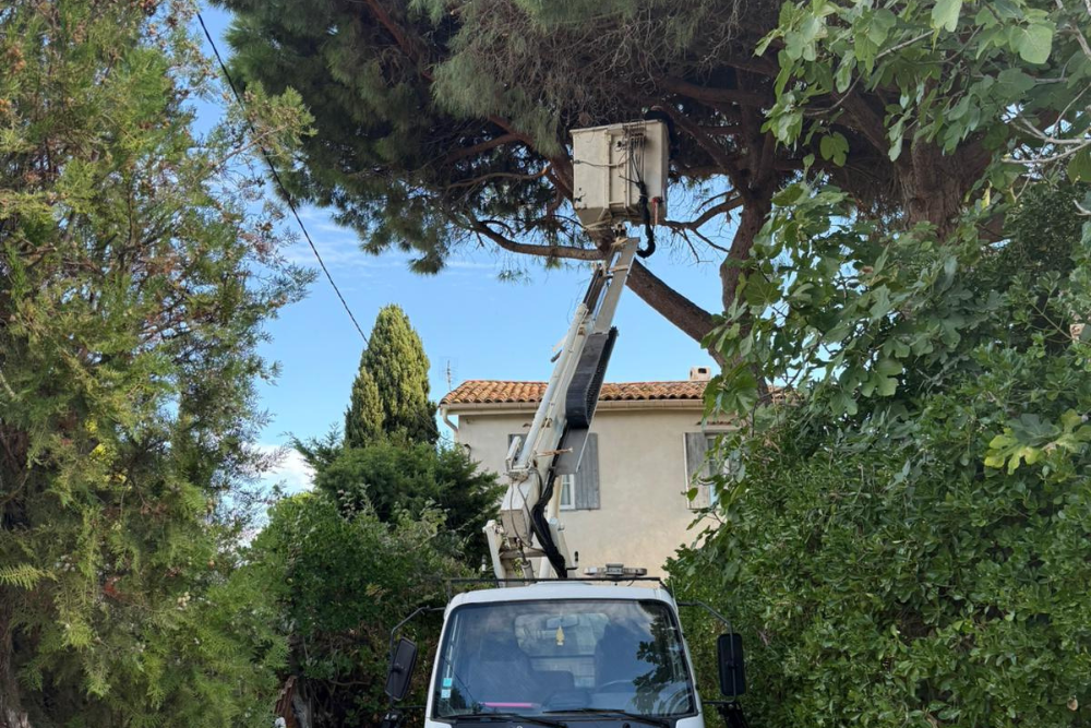 élagage et entretien d'espaces verts difficiles d'accès par la location de nacelle à Bessan avec Nab's Multiservices